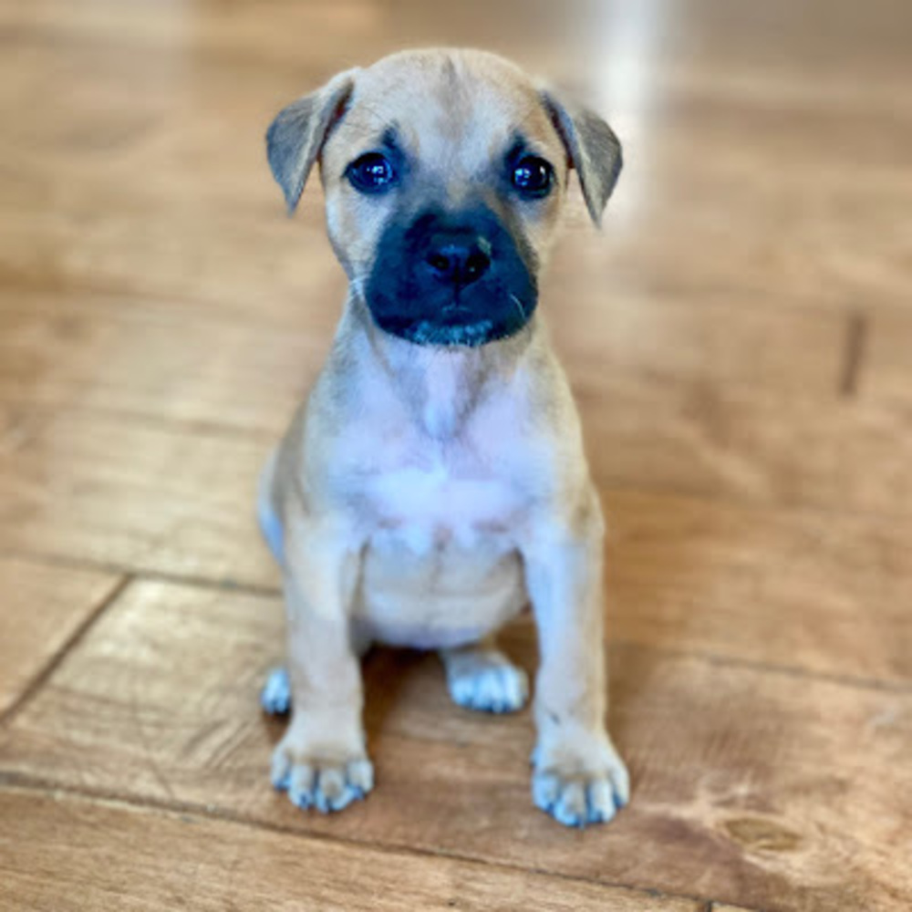 Meet your Posher, Emersyn